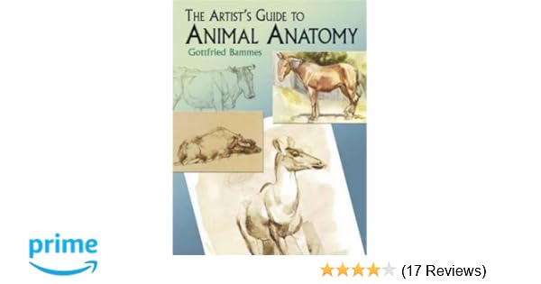 BAMMES ANIMAL ANATOMY PDF